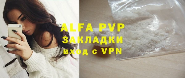 стаф Новокубанск