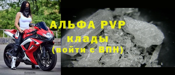 ПСИЛОЦИБИНОВЫЕ ГРИБЫ Абаза